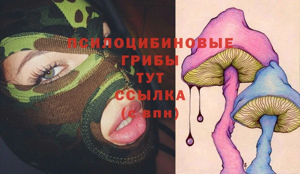 не бодяженный Нязепетровск