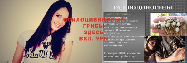 МДПВ Абинск
