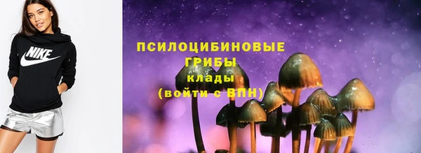 МДПВ Абинск